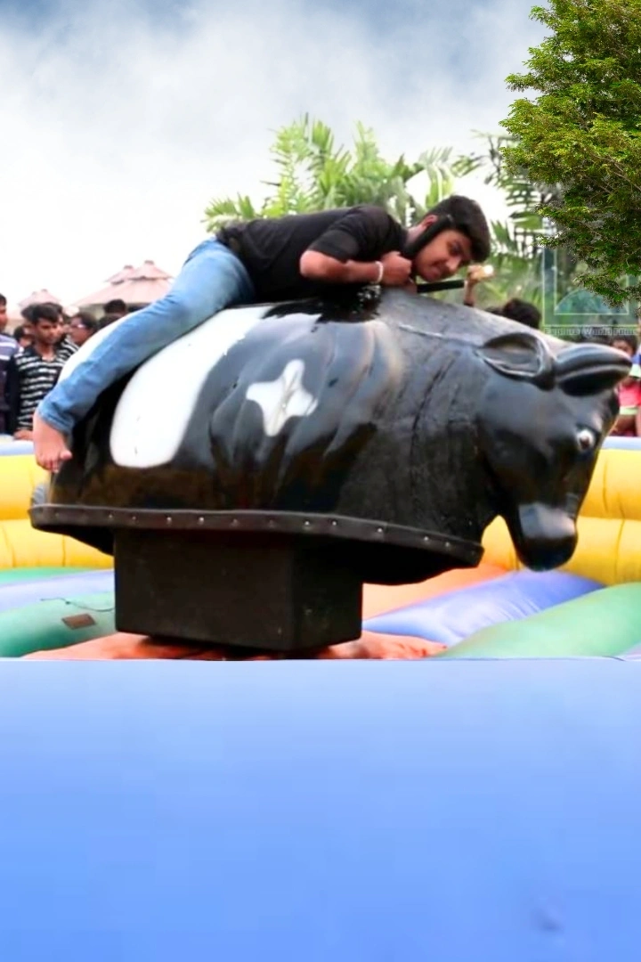 Bull Riding
