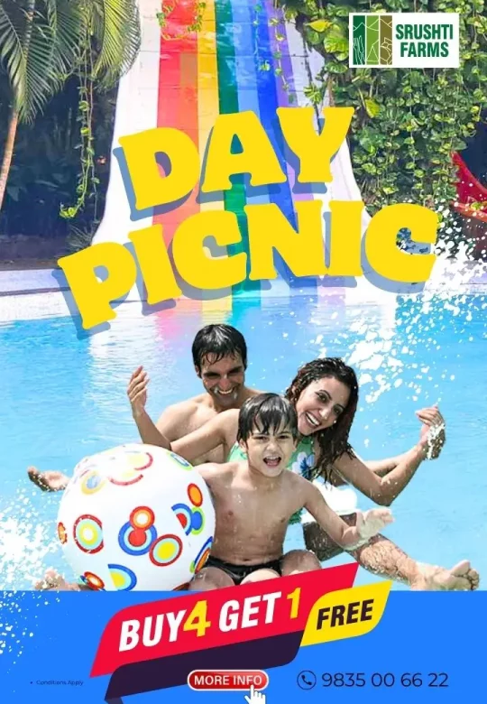 SF-day-picnic-website-banner-webp