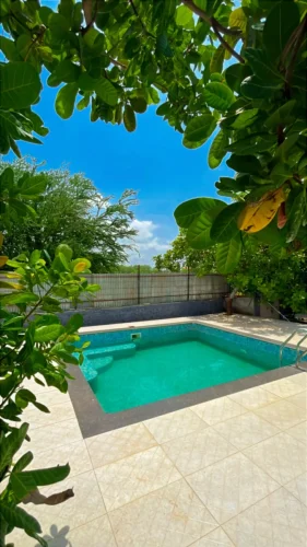 324DCF79-E084-4199-B846-4F7CD8C4678C