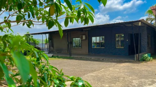 9FDE884F-8DEC-476C-9BCF-740CBE525BB1