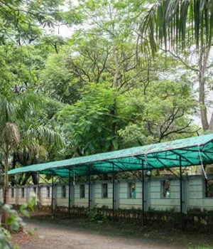 AMPLE-PARKING