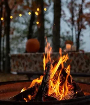 BON-FIRE