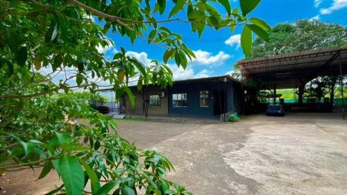 C2523BFE-21C3-4DEB-9F9F-A9607DF0E2F9