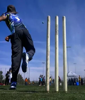 CRICKET-PITCH