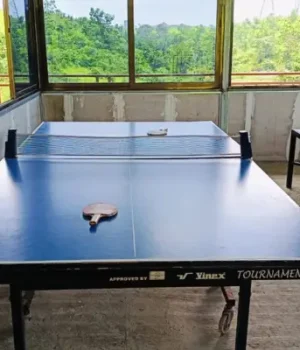 TABLE-TENNIS